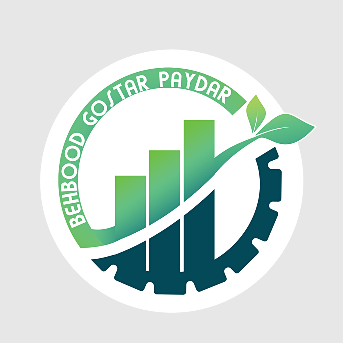 Behbood Gostar Paydar Ltd.